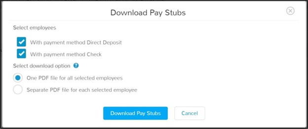 Download_Pay_Stub_Report.jpg
