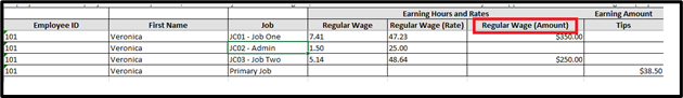 Payroll_Import_Template_revised.png